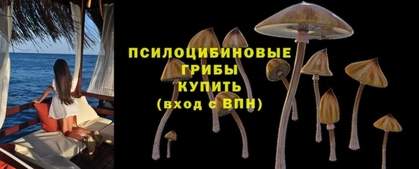дживик Армянск