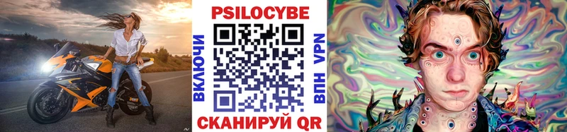 МЕГА как зайти Ленинск Галлюциногенные грибы Psilocybe